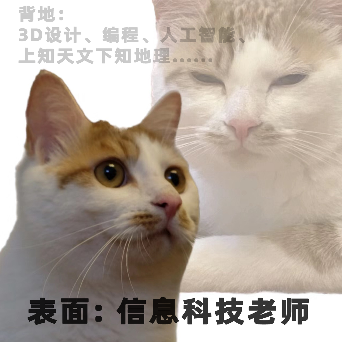 1(1).png